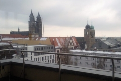 Foto0204_800