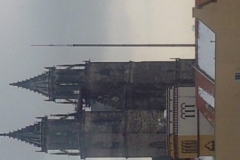 Foto0205_800
