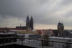 Foto0208_800