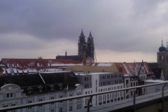 Foto0210_800