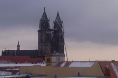 Foto0212_800